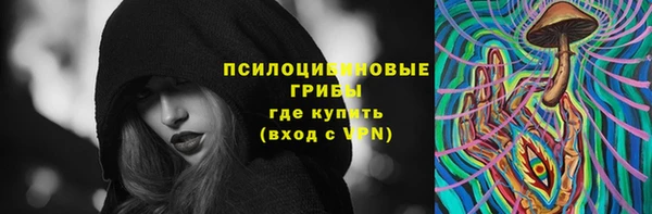 прущая мука Богородск
