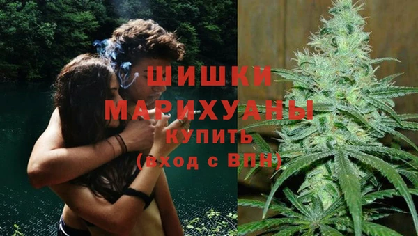 прущая мука Богородск