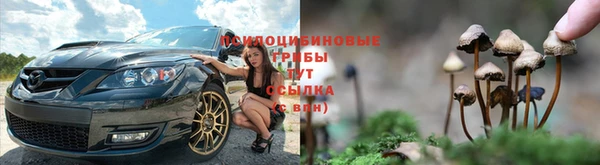 ПСИЛОЦИБИНОВЫЕ ГРИБЫ Богородицк