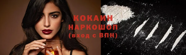 винт Богданович