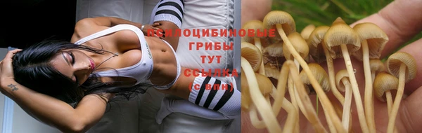 прущая мука Богородск