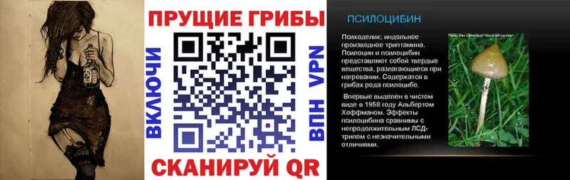 Галлюциногенные грибы MAGIC MUSHROOMS  Краснокаменск 